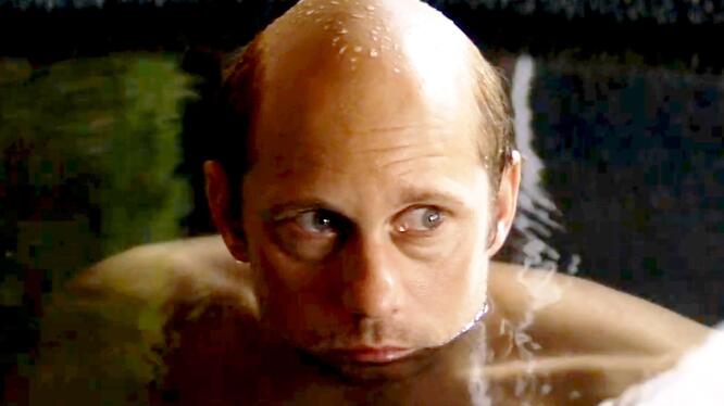 The Hummingbird Project