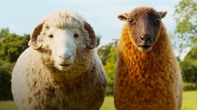 The Sheep Detectives