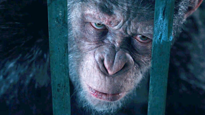 War for the Planet of the Apes