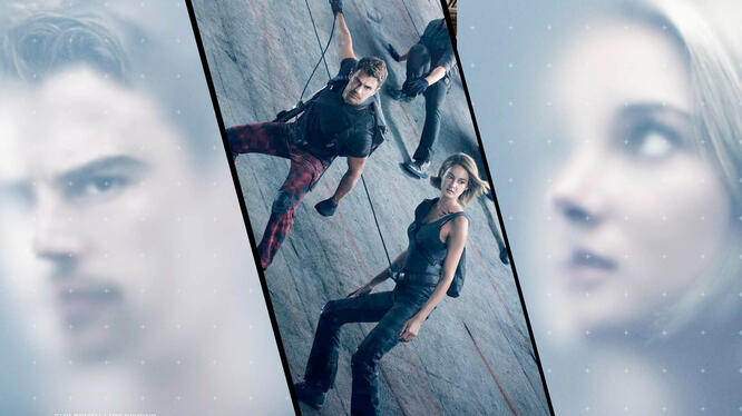 The Divergent Series