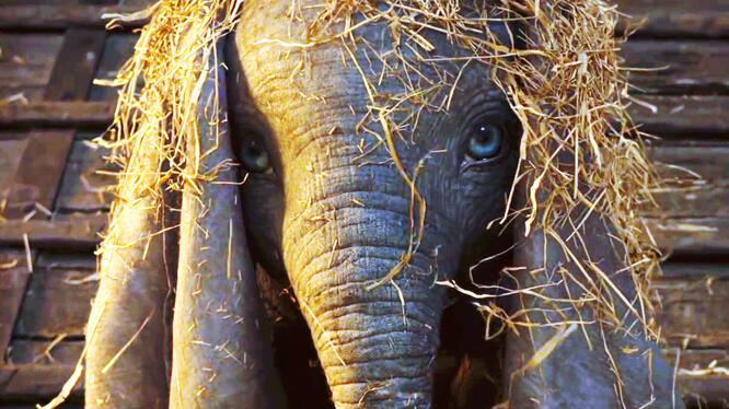 Dumbo