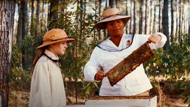 The Secret Life of Bees