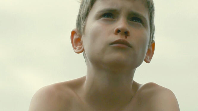 Evolution: Movie Clip - Starfish