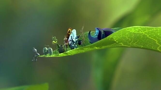 A Bug's Life