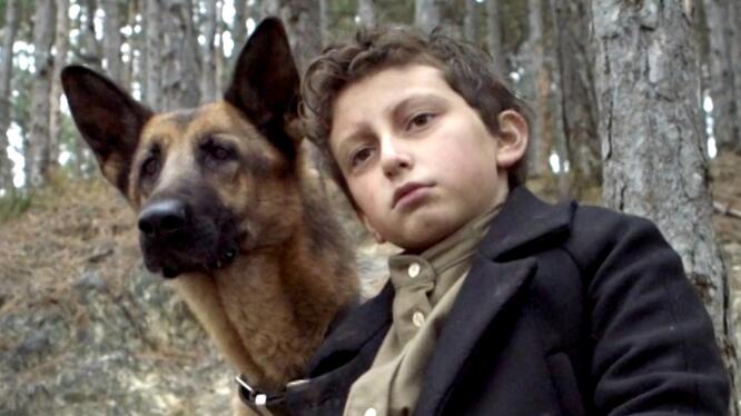 Shepherd: The Story of a Jewish Dog