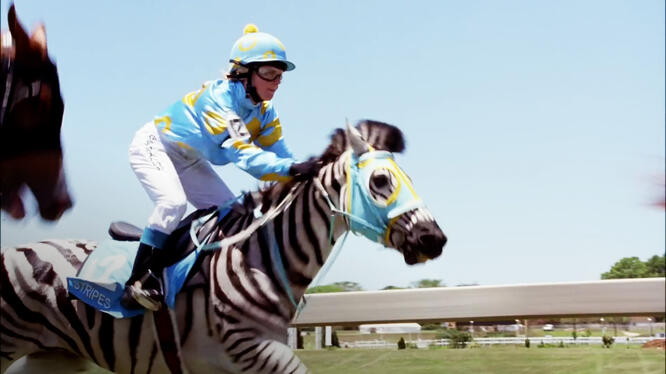 Racing Stripes