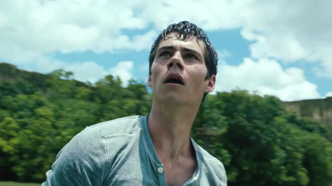 The Maze Runner