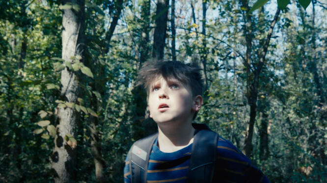 The Wildman of Shaggy Creek