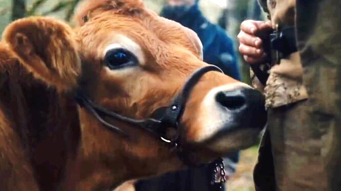 First Cow
