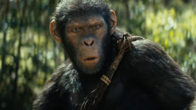 Kingdom of the Planet of the Apes