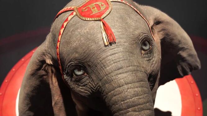 Dumbo