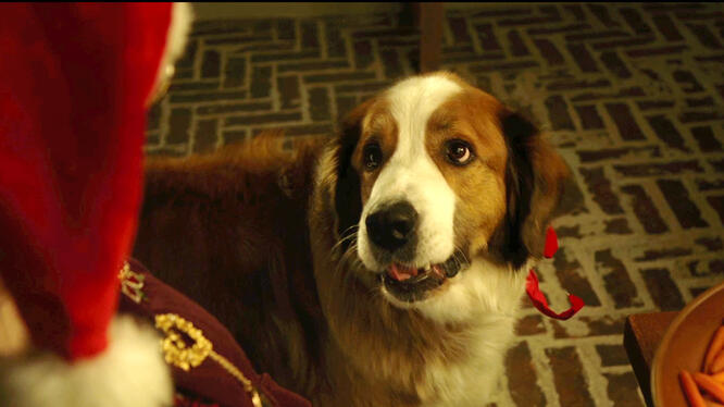 Love the Coopers