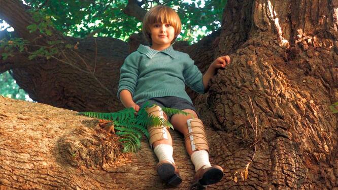 Goodbye Christopher Robin