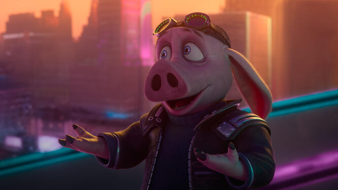 HITPIG!