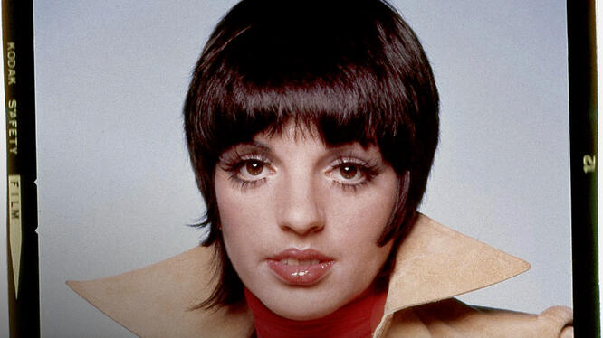Liza: A Truly Terrific Absolutely True Story