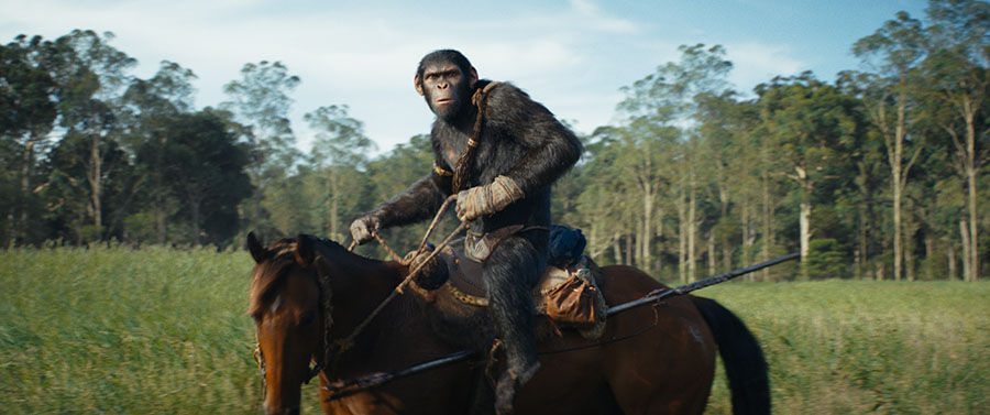 All 'Planet Of The Apes' Movies In Order By Release Date | Fandango