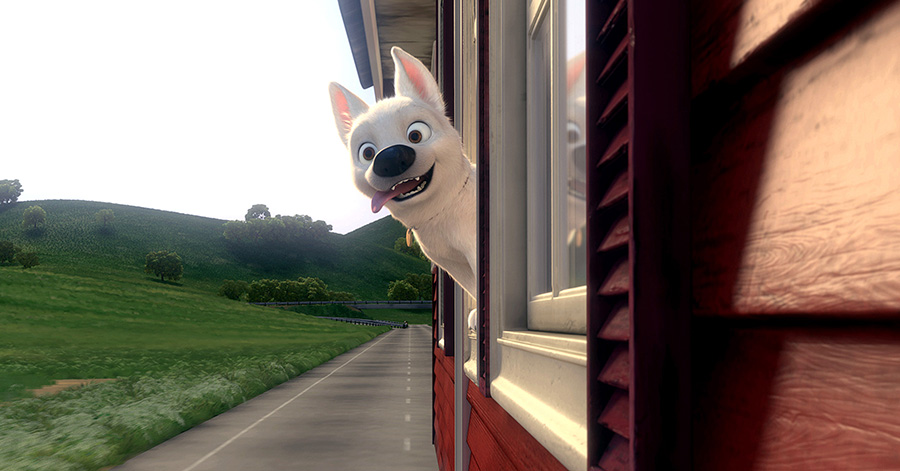 Bolt