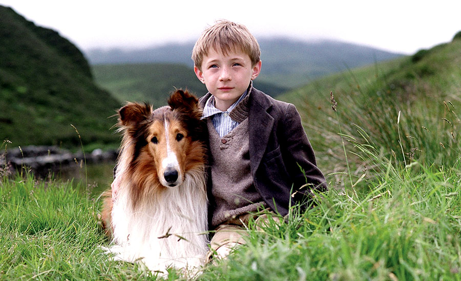 Lassie (2005)