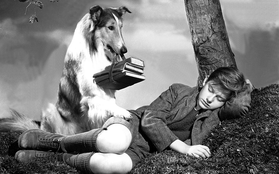 Lassie Come Home