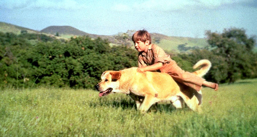 Old Yeller
