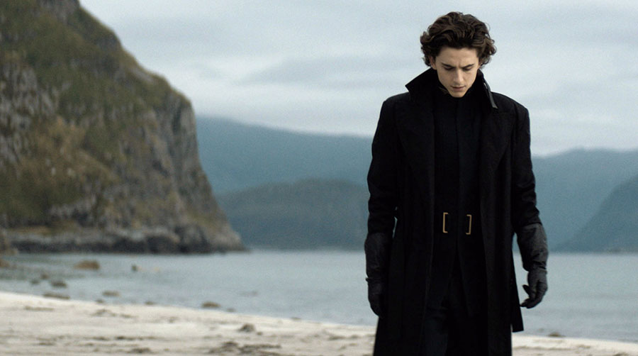 Timothee Chalamet in Dune
