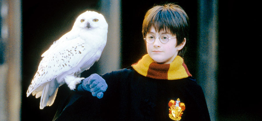 Daniel Radcliffe as Harry Potter
