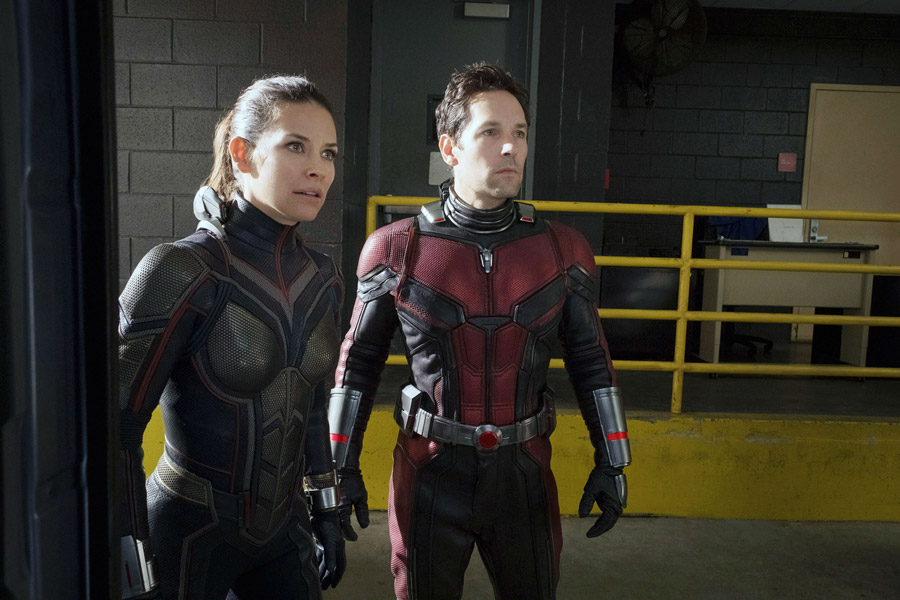 Evangeline Lilly Paul Rudd Ant-Man and the Wasp