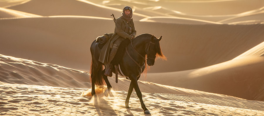 Tom Cruise in Mission: Impossible - Dead Reckoning Part One