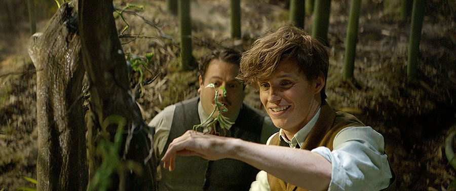 Eddie Redmayne in Fantastic Beasts and Where to Find Them