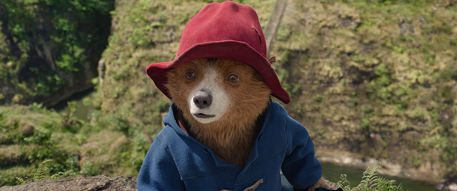 Paddington in Peru