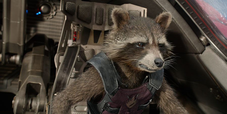 Rocket Raccoon in Guardians of the Galaxy
