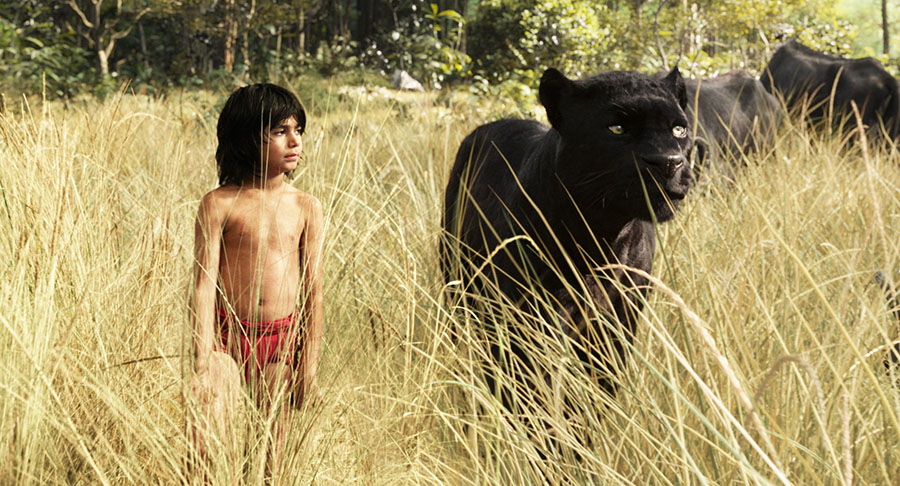 Neel Sethi and Bagheera in The Jungle Book (2016)