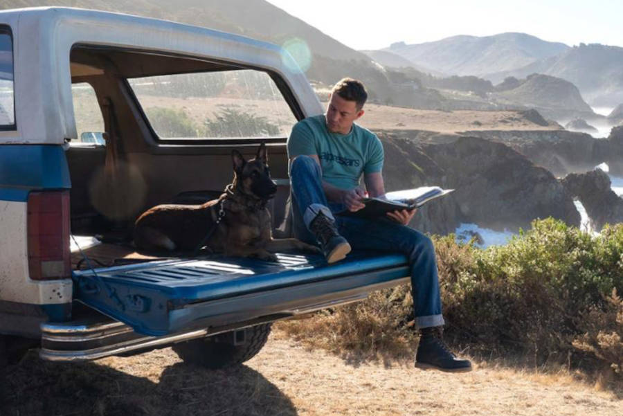 Channing Tatum Dog