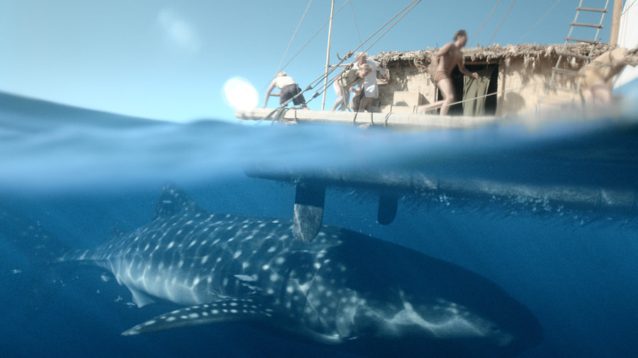 People on a boat above a shark in Kon-Tiki