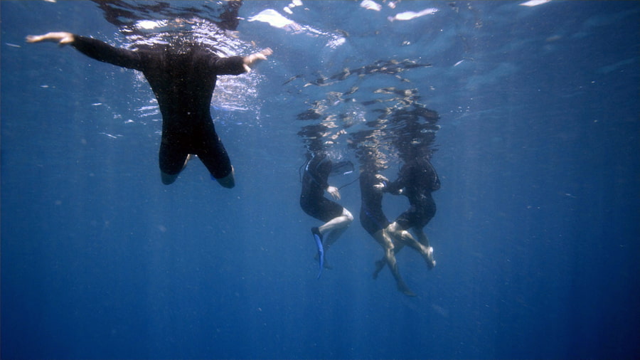 People underwater in The Reef