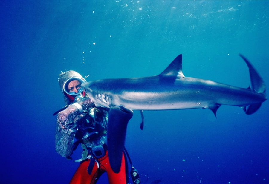 Woman getting bitten by a shark in Playing With Sharks