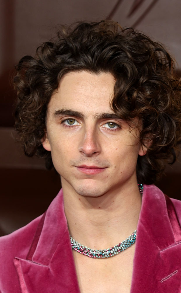 A Complete Unknown Timothée Chalamet