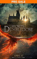 Fantastic Beasts: The Secrets of Dumbledore (2022) poster