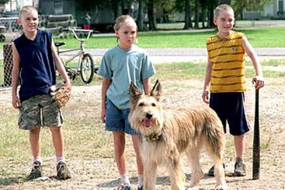 Because Of Winn Dixie 2005 Full Movie Because of Winn-Dixie (2005) Movie Photos and Stills - Fandango
