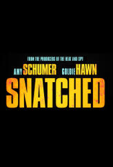 Snatched (2017)