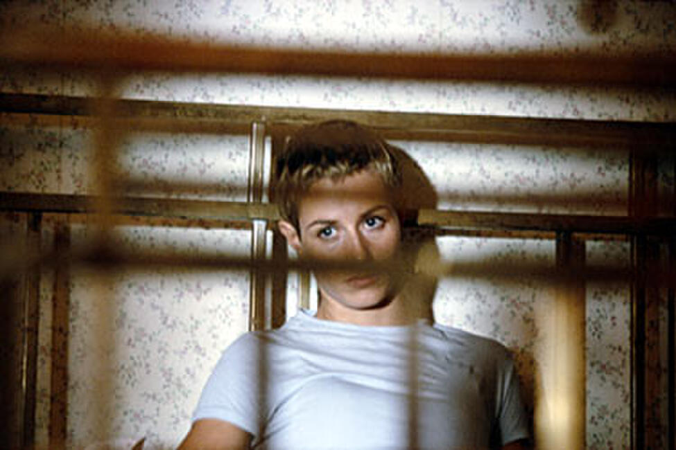 High Tension (2005) Movie Photos and Stills - Fandango