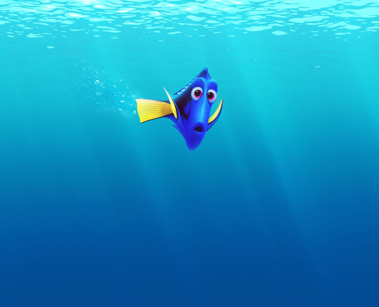 Finding Dory (2016) Movie Photos and Stills Fandango