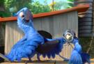 Mom's Movie Minute: Rio 2