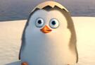Mom's Movie Minute: Penguins of Madagascar