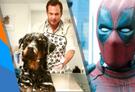 Weekend Ticket: Show Dogs, Deadpool 2