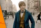 Mom's Movie Minute: Is 'Fantastic Beasts and Where to Find Them' Right For Your Kids?