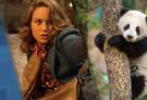 Weekend Ticket: Born in China, Free Fire, The Promise