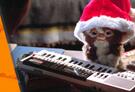 Mom's Movie Minute: Is ‘Gremlins’ Right For Your 10-Year-Old?