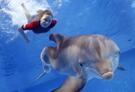 Mom's Movie Minute: Dolphin Tale 2