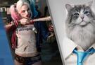 Weekend Ticket: Suicide Squad, Nine Lives, Jason Bourne